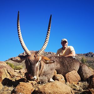 South Africa Hunting Waterbuck