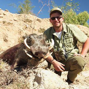 Namibia Hunt Warthog