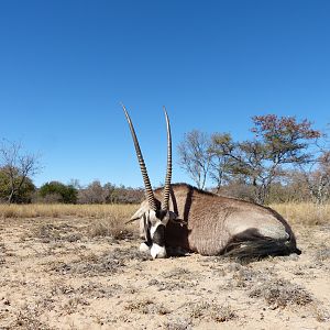 Witfontein 2019