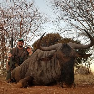 Blue Wildebeest Hunting South Africa