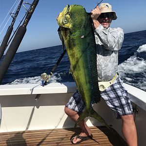 Dorado delicious lunch on board