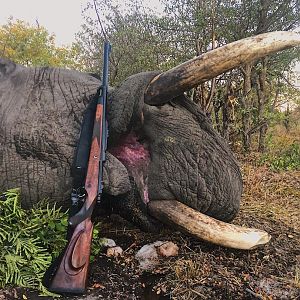 Namibia Hunt Elephant