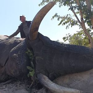 Elephant Hunting Namibia