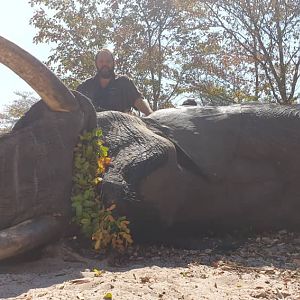 Namibia Hunting Elephant