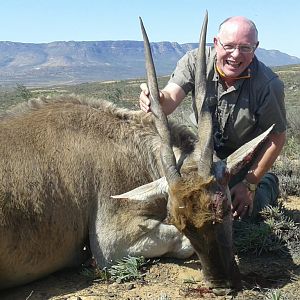 South Africa Hunt Eland Cow