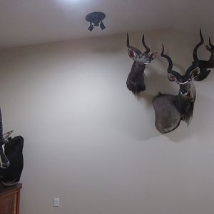 Trophy Room