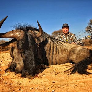 Blue Wildebeest Bow Hunting South Africa