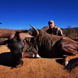 South Africa Hunt Blue Wildebeest