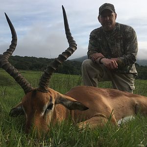 Impala Hunting South Africa