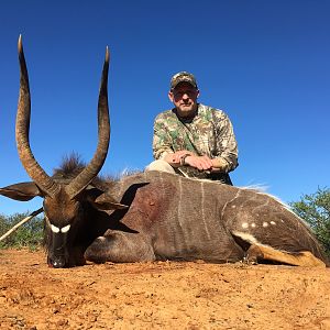 Hunt Nyala in South Africa