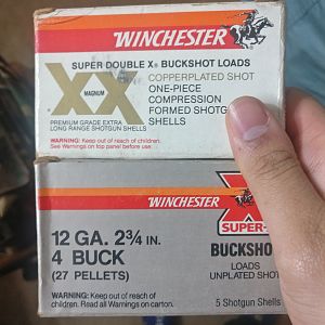 Buckshot Loads