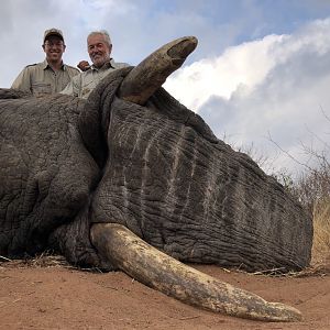 Elephant Hunting Zimbabwe