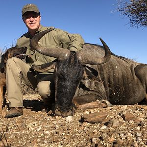 Namibia Hunt Blue Wildebeest