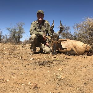 Red Hartebeest Hunting Namibia