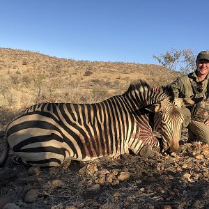 Hunt Hartmann's Mountain Zebra in Namibia