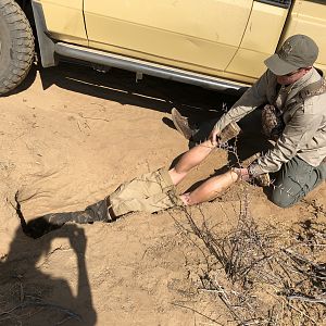 Namibia Hunt