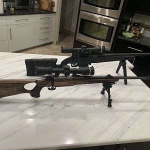 Mauser M12 9.3x62 Rifle & Daniel Defense Delta 308 Win Rifle with Leupold  VX-6HD Scopes