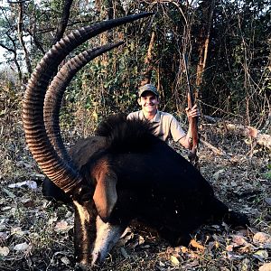 Zambia Hunt Sable Antelope