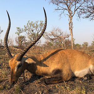 Lechwe Hunt Zambia