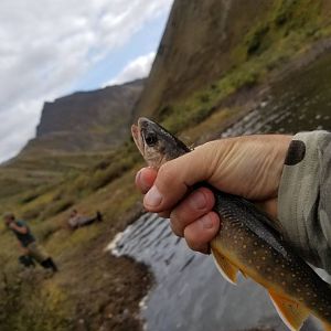 Alaska USA Fly Fishing