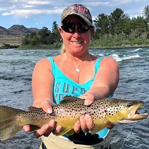 Fly Fishing Brown Trout in Montana, Idaho & Wyoming USA