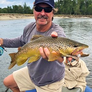 Brown Trout Fly Fishing Montana, Idaho & Wyoming USA