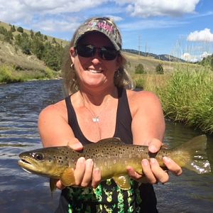 Fly Fishing Brown Trout in Montana, Idaho & Wyoming USA