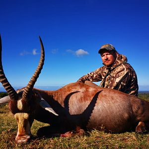 Blesbok Bow Hunt South Africa