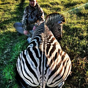 Burchell's Plain Zebra Bow Hunting South Africa