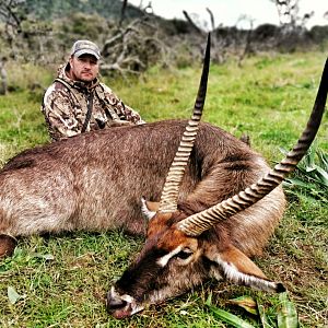 Bow Hunt Waterbuck in South Africa