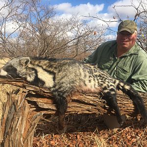 Civet Cat Hunting Zimbabwe