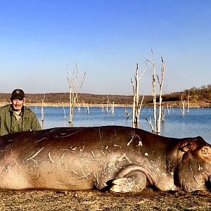 Hunt Hippo At Lake Kariba Zimbabwe