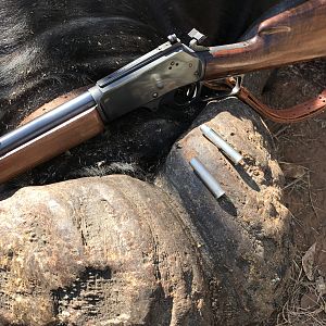 Marlin 45-70 Lever Gun & 540 grain Hammerhead solids