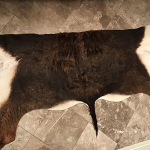 Blesbok Back Skin