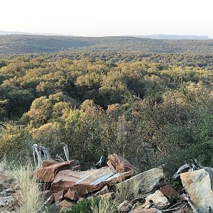 South Africa Hunting