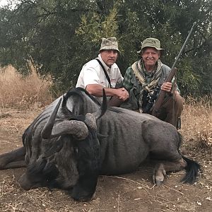 Blue Wildebeest Hunt South Africa