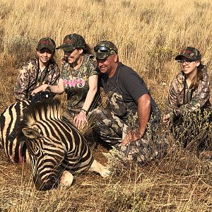 Burchell's Plain Zebra Hunting South Africa