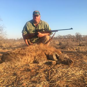 Spotted Hyena Hunt Zimbabwe