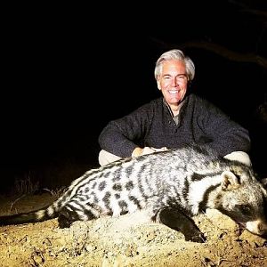 Hunt Civet Cat in South Africa