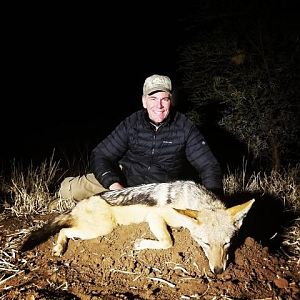 South Africa Hunt Jackal