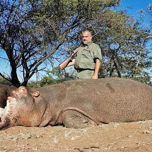 Hunt Hippo in South Africa