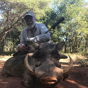 Hunting Warthog in South Africa