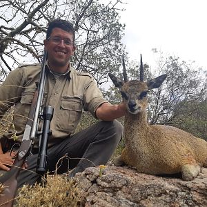 Hunt Klipspringer in Zimbabwe