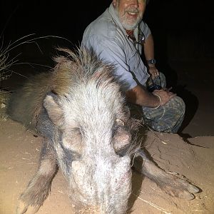 Bushpig Hunting South Africa