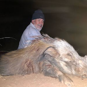 South Africa Hunt Bushpig