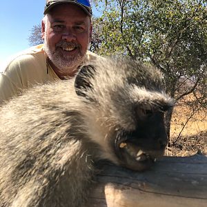 Hunting Vervet Monkey in South Africa