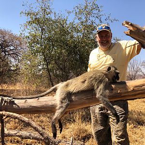 South Africa Hunt Vervet Monkey