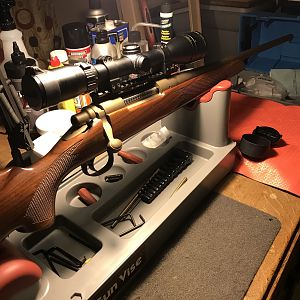 Whelen built off of a Remington 700 ADL Rifle