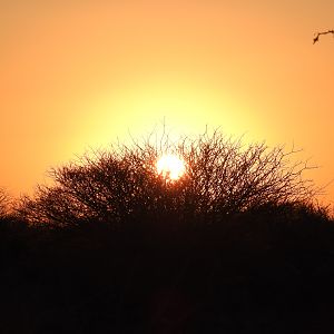 Sunset Namibia