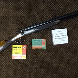 .450 3 1/4" Nitro Express and 12 3/4" (70mm) shotgun barrels